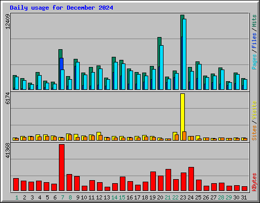 Daily usage for December 2024