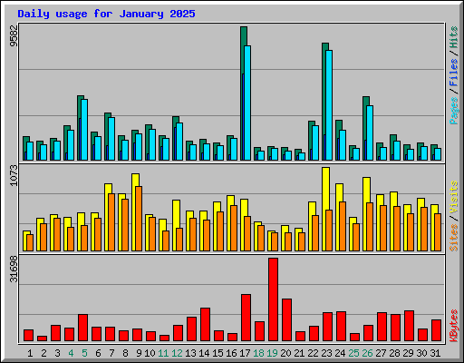 Daily usage for January 2025