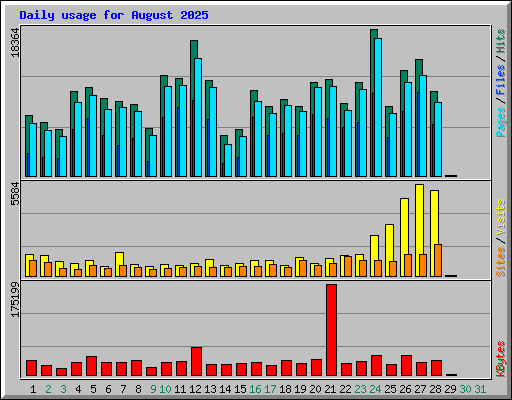 Daily usage for August 2025