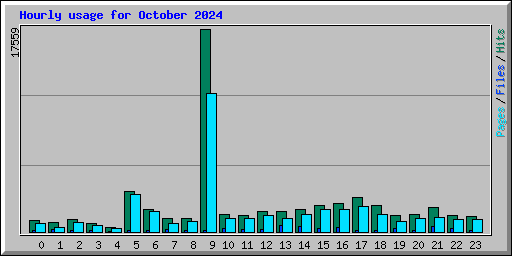 Hourly usage for October 2024