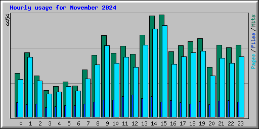 Hourly usage for November 2024