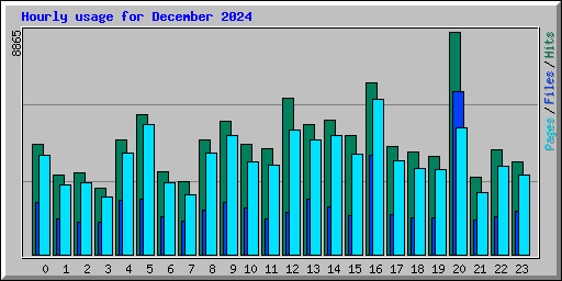 Hourly usage for December 2024