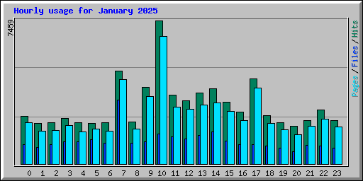Hourly usage for January 2025