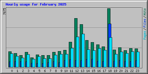 Hourly usage for February 2025