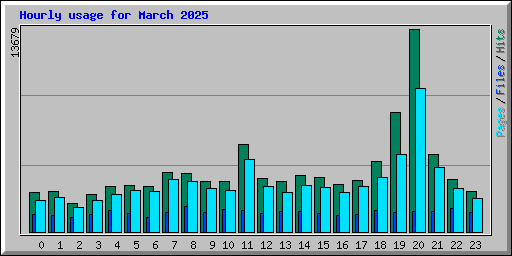 Hourly usage for March 2025