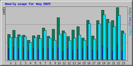 Hourly usage for May 2025