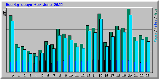 Hourly usage for June 2025