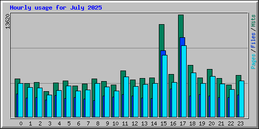 Hourly usage for July 2025