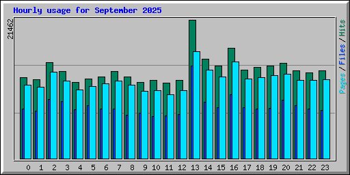 Hourly usage for September 2025
