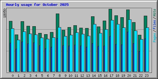 Hourly usage for October 2025