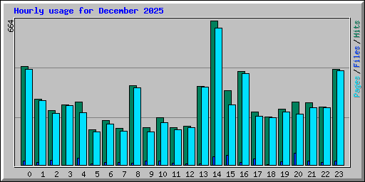 Hourly usage for December 2025