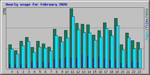 Hourly usage for February 2026