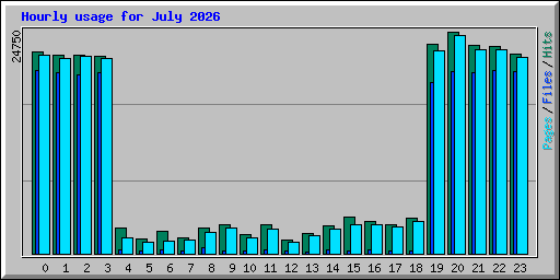Hourly usage for July 2026