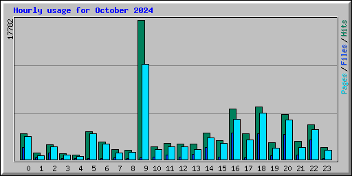 Hourly usage for October 2024