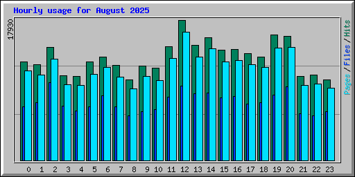 Hourly usage for August 2025