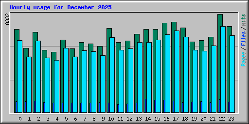 Hourly usage for December 2025